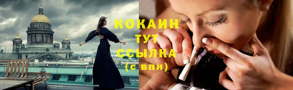 крисы Белоозёрский