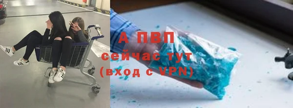 крисы Белоозёрский