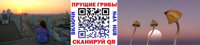 Псилоцибиновые грибы Magic Shrooms  МЕГА ONION  Озёрск 